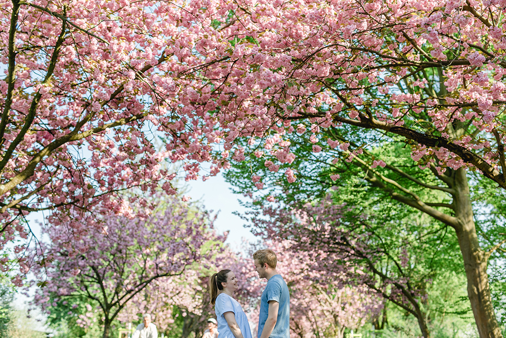 Das Paar vor den Kirschblüten in Köln - Fotografin: Sonja Yasmin Fotografie, Hochzeitsfotografin in Köln, Bonn und ganz NRW, Fotografin für Portraitfotos und Familienfotos